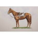 K.A. Lloyd, signed watercolour and ink drawing, portrait of a racehorse, 17½" x 12½"