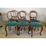 A set of six Victorian walnut balloon back dining chairs, two A/F, 34½" high