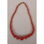A bright amber Bakelite graduated bead necklace, 20½" long