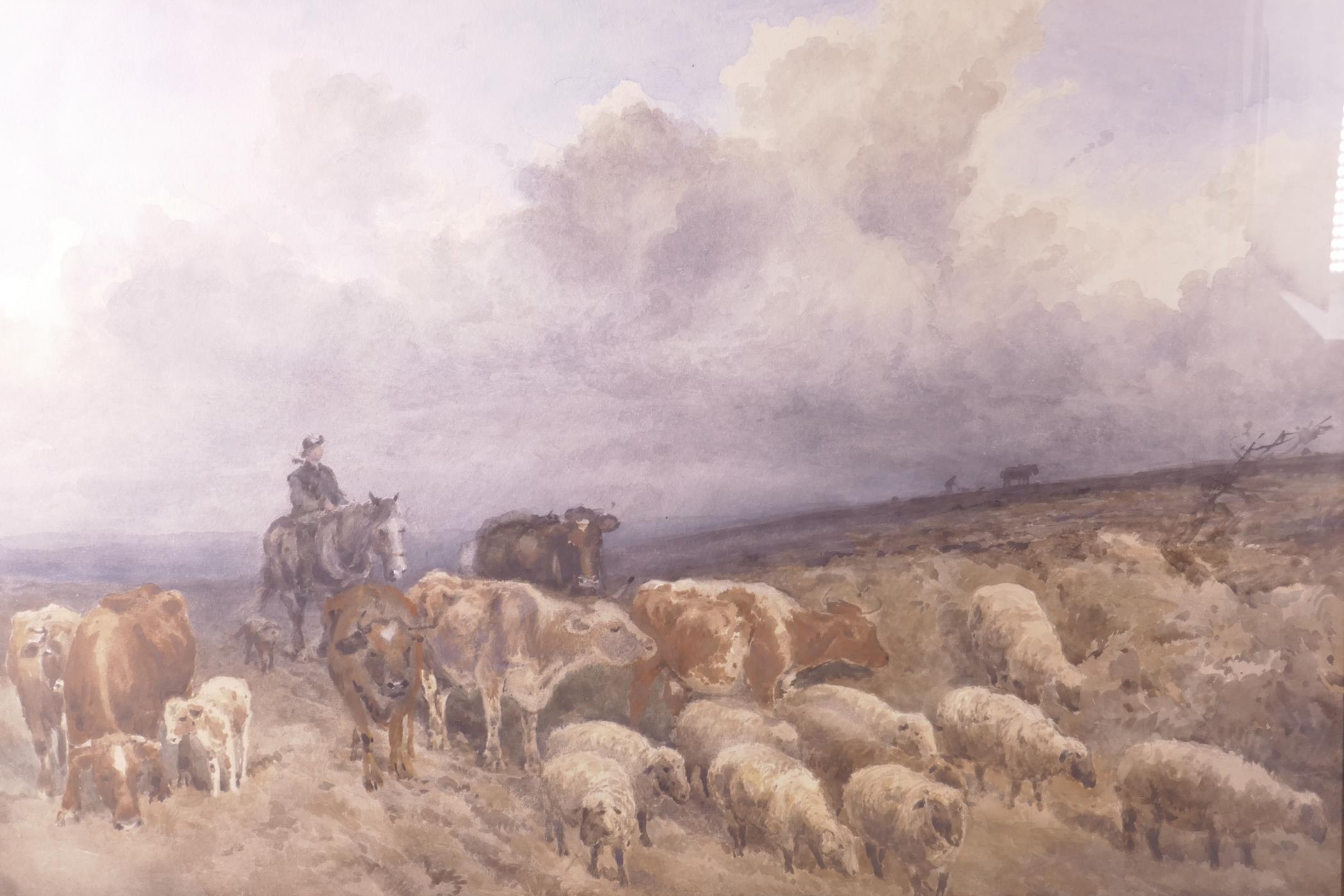 A good watercolour of a drover with his cattle and sheep on a moorland, 23½" x 18"