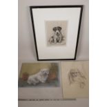 Marion Harvey, signed etching of a dog, together with two unframed pastel drawings of dogs, both