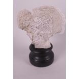 An antique coral specimen mounted on a wooden socle, 7½" high