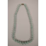 A string of graduated turquoise beads with a silver clasp, 25" long