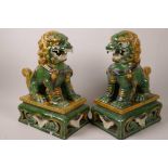 A large pair of Chinese Tang style figures of fo dogs seated on ornate plinths, 12" high, one A/F