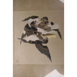 An antique Japanese painting of squabbling magpies, signed in red seal mark, 9½" x 10"