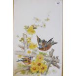 A Victorian painting on porcelain panel, finches in a hedgerow, signed A Buckley, 1893, 12" x 19"