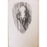 Takuji Kubo, engaving, Skull, signed, 20/70, 4½" x 7½"