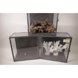 Two display cases of early C19th corals, and another of driftwood