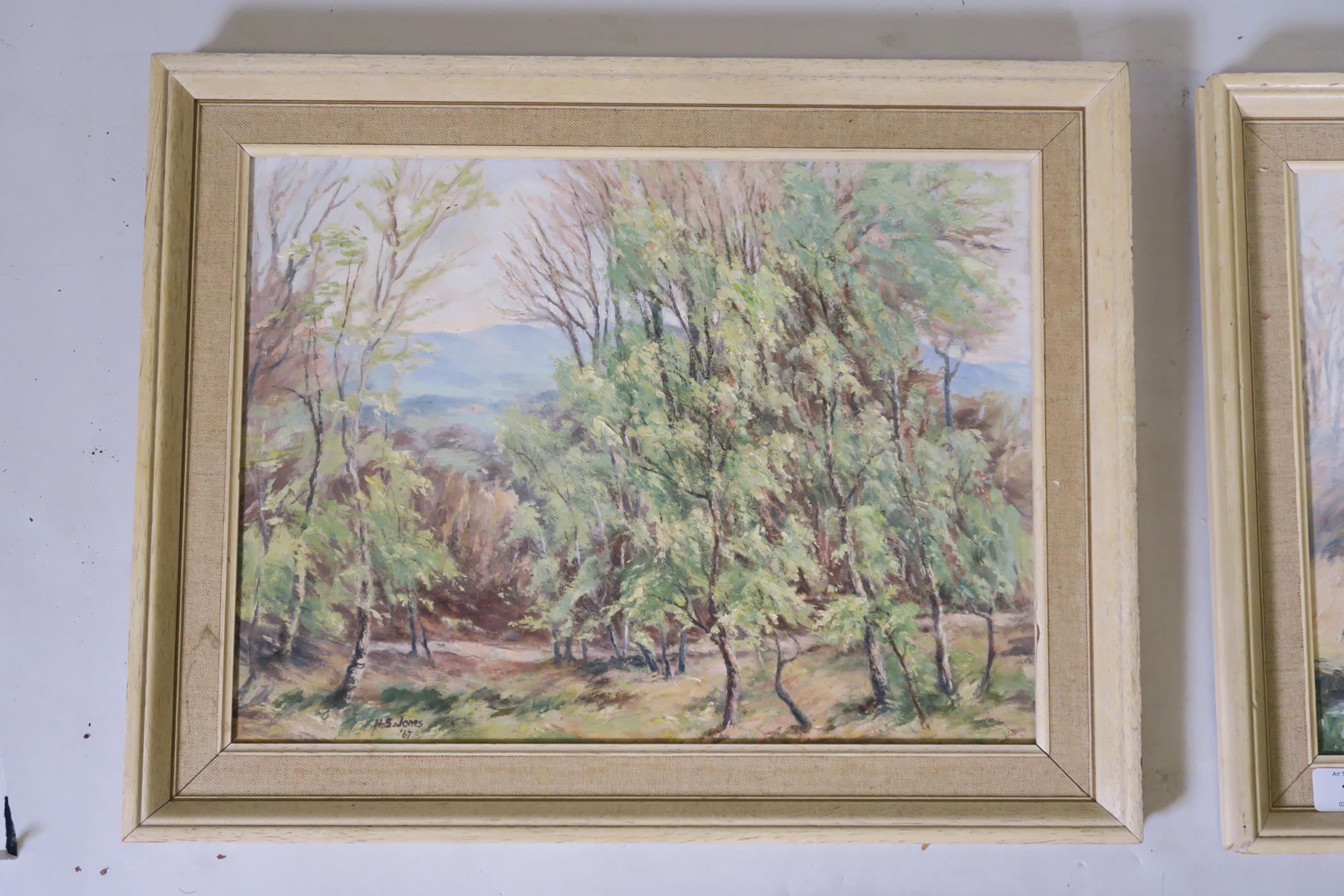 H.S. Jones, April on Black Down, Surrey, oil on board, signed, 16" x 12", dated 1967, and two others - Image 4 of 6