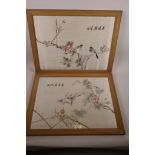 A pair of Chinese silk embroideries depicting birds perched on branches in bloom, 14½" x 18½"
