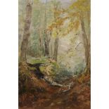 Prue Sapp, oil on canvas, autumnal woodland scene, signed, 18" x 22"