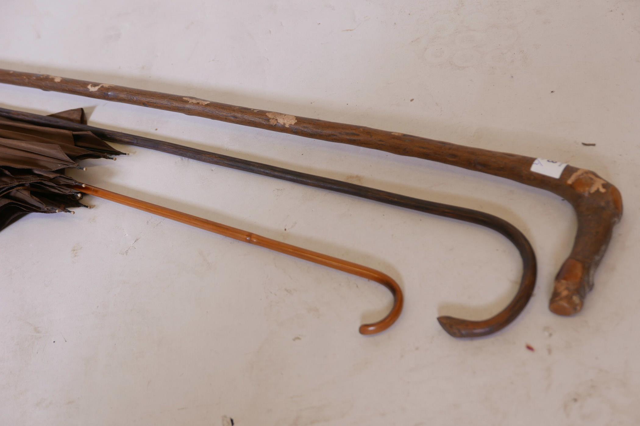 A late C19th/early C20th parasol with bamboo shaft, a hedgerow cane and walking stick