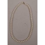 A cultured pearl necklace with a silver clasp, 15" long