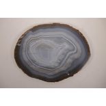 A large polished agate specimen slice, 12" x 9½"