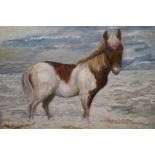 An oil/acrylic on canvas board, pony in the surf, signed MR and dated 1974, 30" x 22"