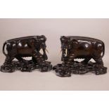 A pair of C19th Chinese carved hardwood figurines of elephants with glass eyes, on carved hardwood