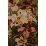 Marie Low (fl. 1898) 'Group of orchids from Mr. Chamberlain's collection', C19th pair of