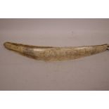 A whale rib bone with scrimshaw decoration, 17½" long
