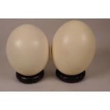A pair of ostrich eggs on carved hardwood stands, 7" high