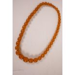 A graduated Baltic amber beaded necklace, 24" long, 70 grams