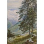 M.W. (British, late C19th), 'Conifer Trees in the Hills', monogrammed lower right, watercolour,