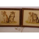 A pair of colour lithographs of a kitten and puppy, 'Harmony' and 'Discord', 12" x 9"