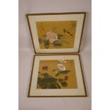 A pair of Chinese watercolours on silk depicting birds amongst flowers, 12" x 9½"