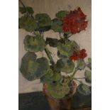 Jack Earl, 'Geraniums', signed lower left with label verso, oil on board, 22" x 17"