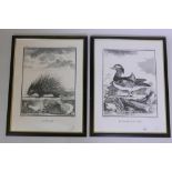 A pair of enlarged prints after the C18th originals, a porcupine and Chinese teal, framed, 20" x 27"