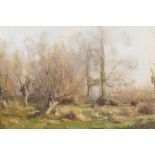 Wooded landscape, oil on canvas, label verso 'George Boyle', 9" x 14"