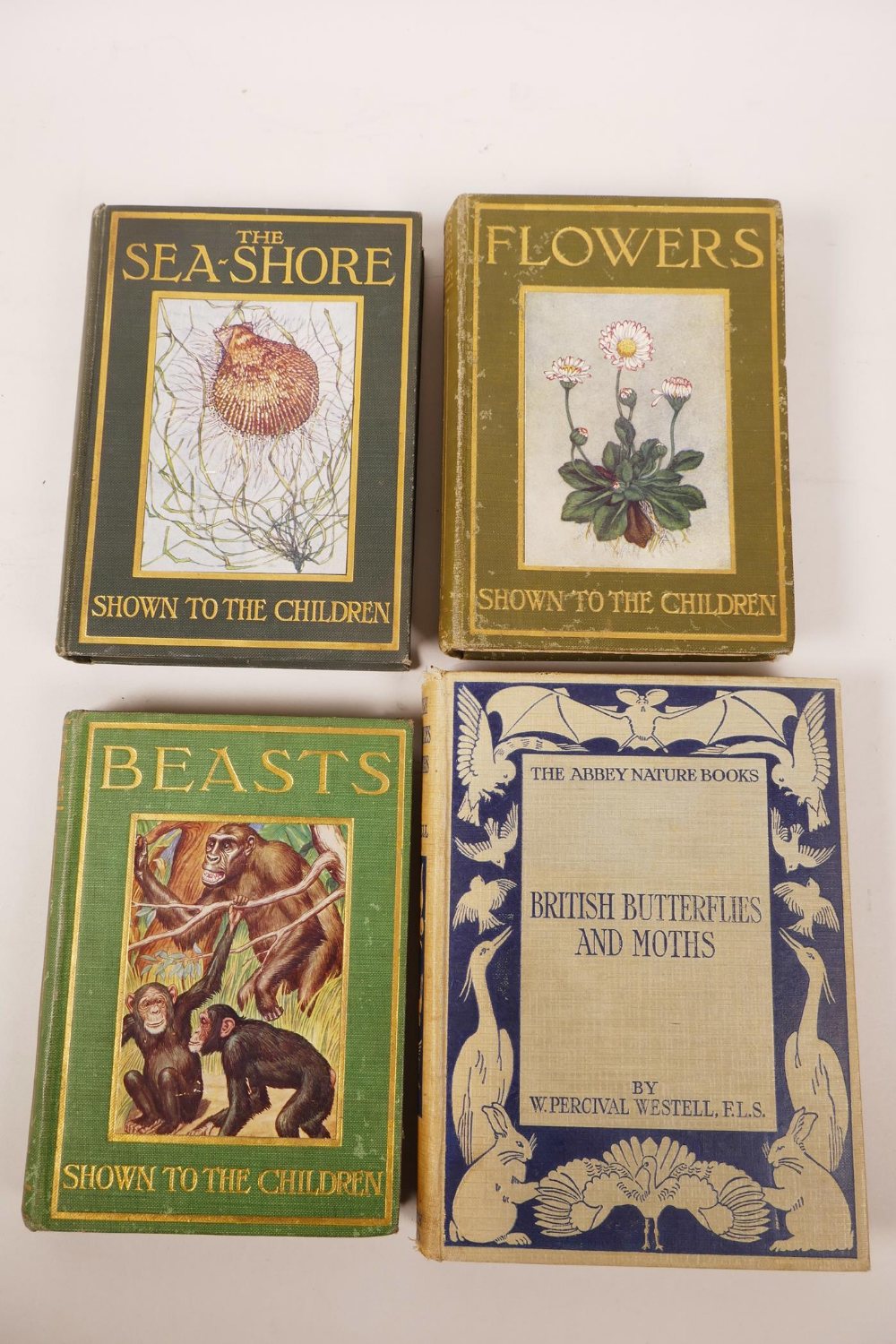 Three books in the 'Shown to the Children' series, edited by Louey Chisholm on 'Flowers', 'The Sea- - Image 2 of 7