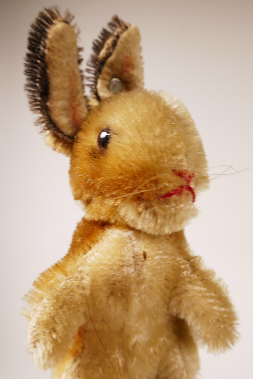 A 1952/53 Steiff begging rabbit, golden mohair, fixed limbs, brown and black glass eyes, red - Image 4 of 8