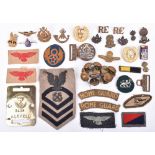 Selection of Metal Badges and Cloth Insignia