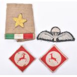 Very Rare WW2 Italian Co-Belligerent F Recce Squadron Army Paratrooper Insignia Grouping