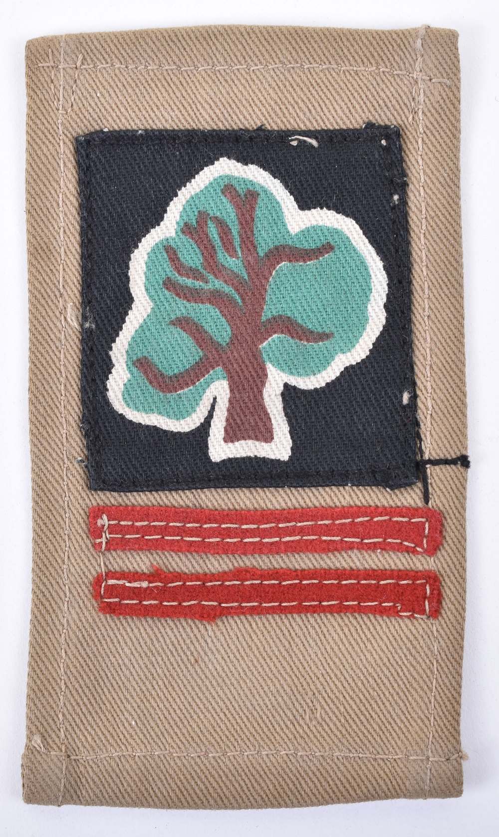 WW2 Tropical 46th Infantry Division 138th Brigade Combination Insignia