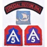 Grouping of US Special Forces Insignia