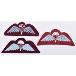 3x Junior Parachute Company Wings