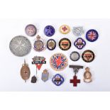 Selection of Various Organisations Lapel Badges and Brooches