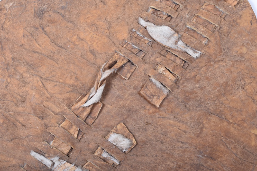 Early Zulu / Tribal Shield “Ihubelo” - Image 6 of 6