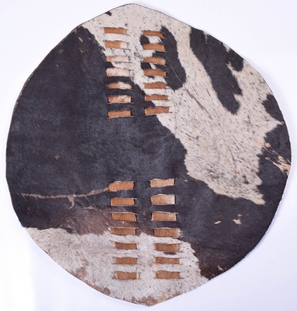 Early Zulu / Tribal Shield “Ihubelo” - Image 2 of 6