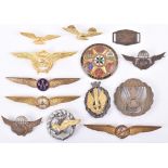 Badges; Aviation and Para badges