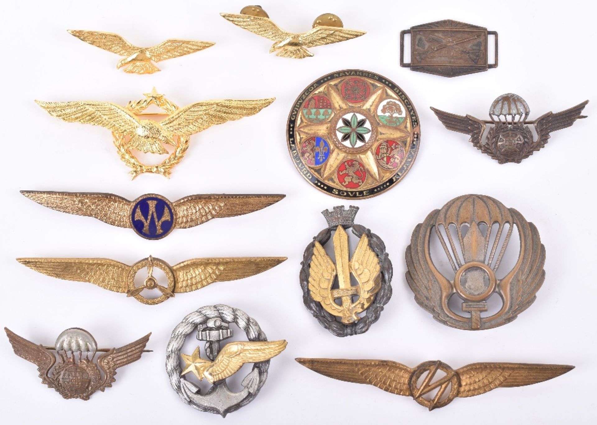 Badges; Aviation and Para badges