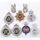 Grouping of War Department Constabulary Badges