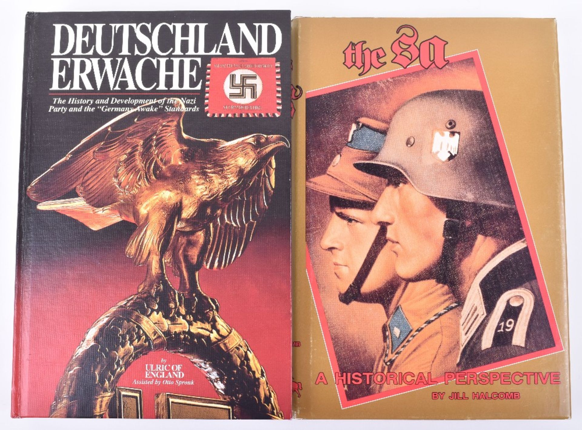 Deutschland Erwache – The History and Development of the Nazi Party and the German Awake Standards b