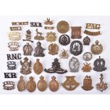 Quantity of South African Military Cap Badges and Shoulder Titles