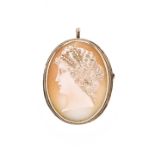 Brooch pendant 14 kt gold and cameo shell