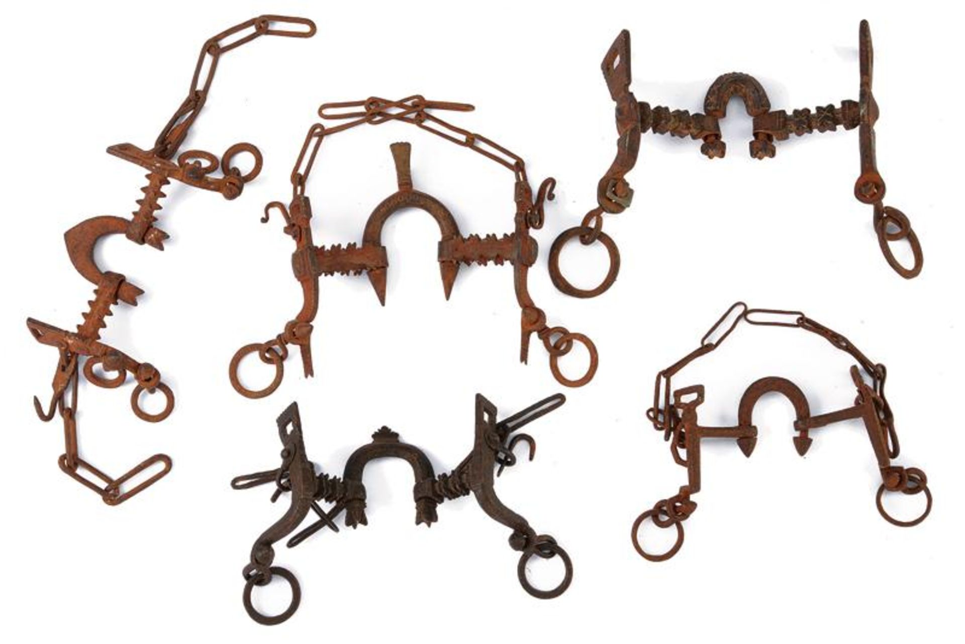 A lot of five horse bits