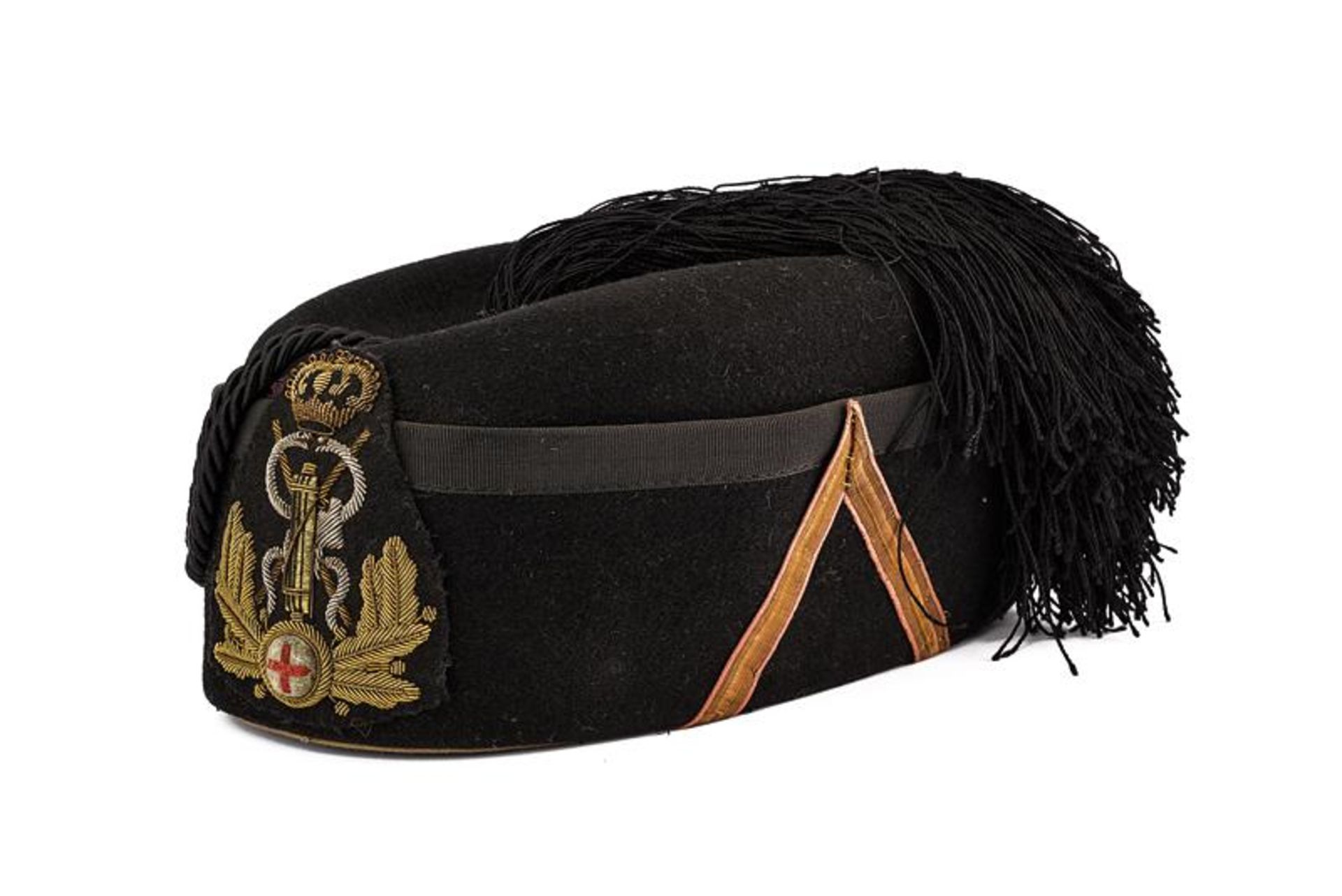 A veterinary's fez