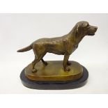 Bronze model of a Labrador on oblong base and marble plinth, L21cm x H17.