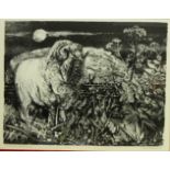 'Spanish Merino II', lithograph signed,